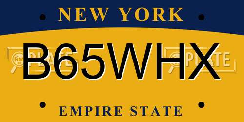 B65WHX New York License Plate