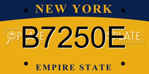 B7250E New York License Plate