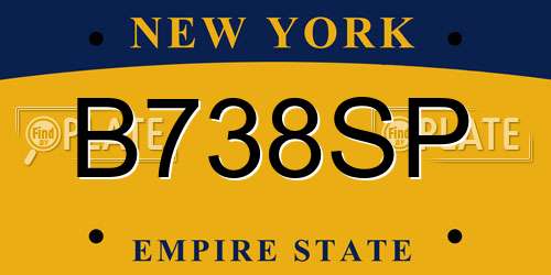 B738SP New York License Plate