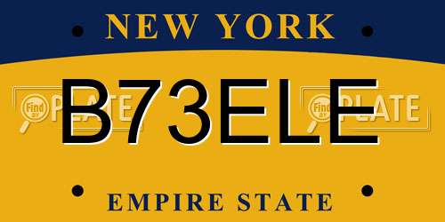 B73ELE New York License Plate
