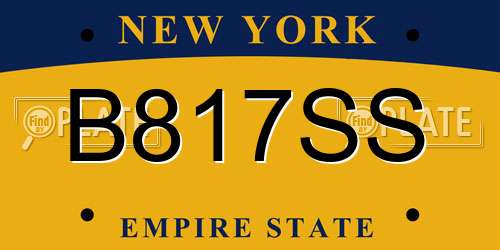 B817SS New York License Plate