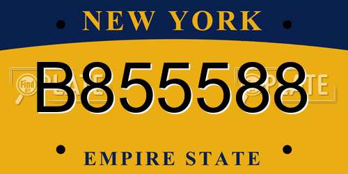 B855588 New York License Plate