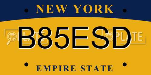 B85ESD New York License Plate