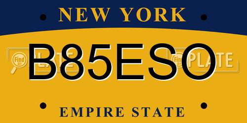 B85ESO New York License Plate