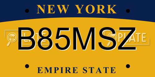 B85MSZ New York License Plate