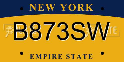 B873SW New York License Plate