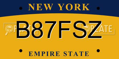 B87FSZ New York License Plate
