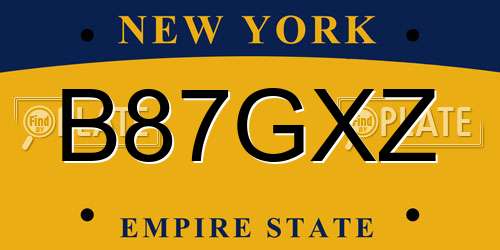 B87GXZ New York License Plate