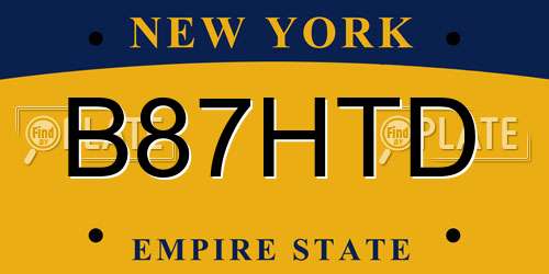 B87HTD New York License Plate