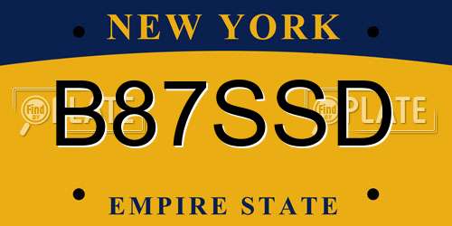 B87SSD New York License Plate