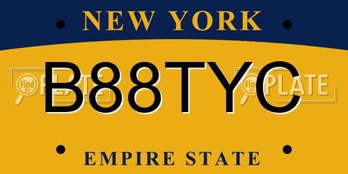 B88TYC New York License Plate