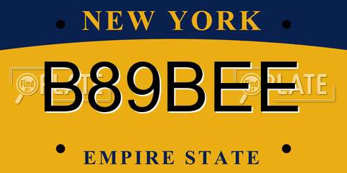 B89BEE New York License Plate