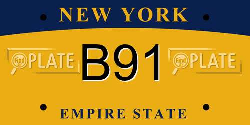 B91 New York License Plate