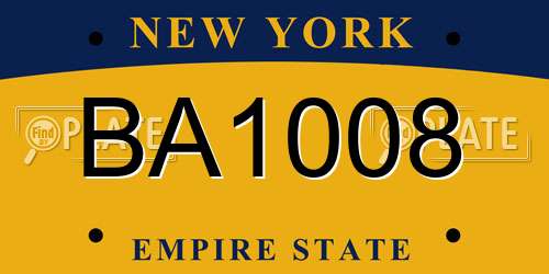 BA1008 New York License Plate