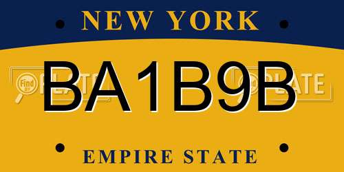 BA1B9B New York License Plate
