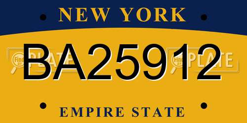 BA25912 New York License Plate
