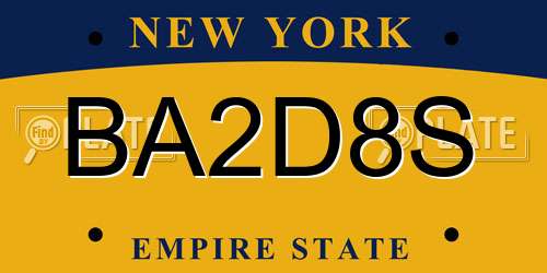 BA2D8S New York License Plate