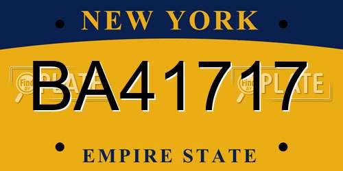 BA41717 New York License Plate