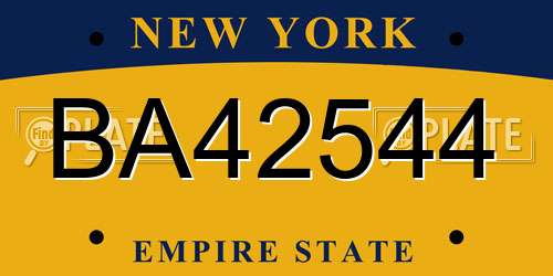 BA42544 New York License Plate