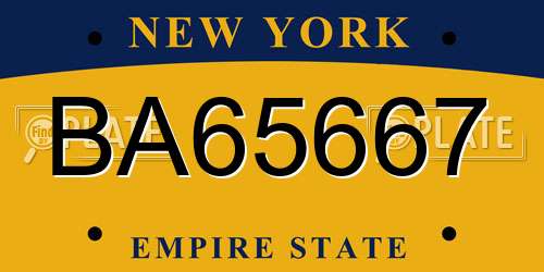BA65667 New York License Plate