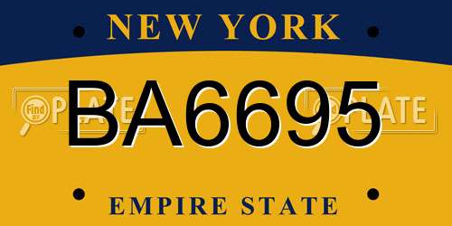 BA6695 New York License Plate