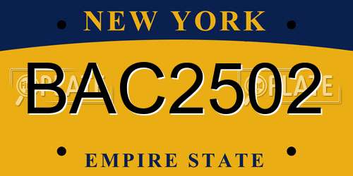 BAC2502 New York License Plate