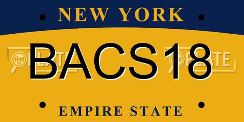 BACS18 New York License Plate