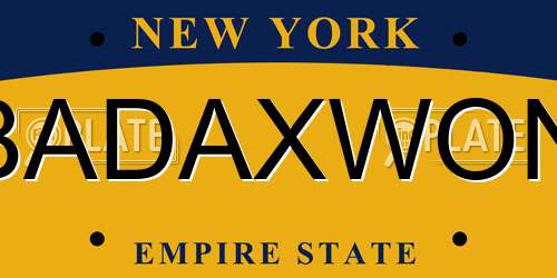 BADAXWON New York License Plate