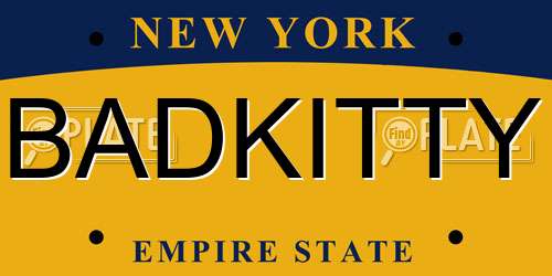 BADKITTY New York License Plate