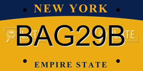 BAG29B New York License Plate
