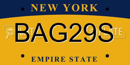 BAG29S New York License Plate