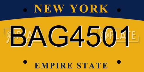 BAG4501 New York License Plate
