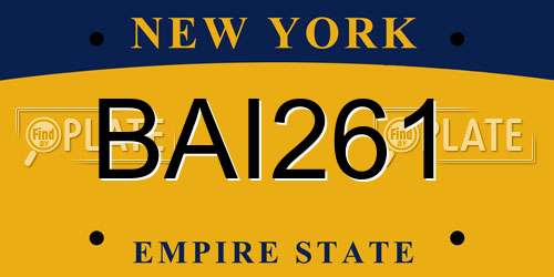 BAI261 New York License Plate