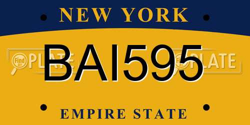 BAI595 New York License Plate