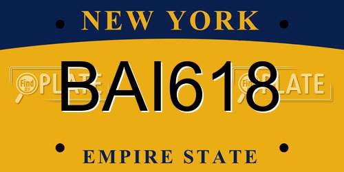 BAI618 New York License Plate