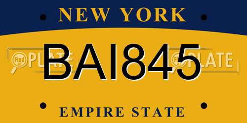 BAI845 New York License Plate