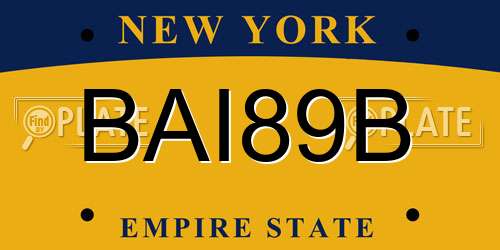 BAI89B New York License Plate