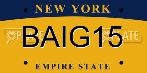 BAIG15 New York License Plate