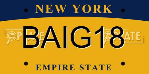 BAIG18 New York License Plate