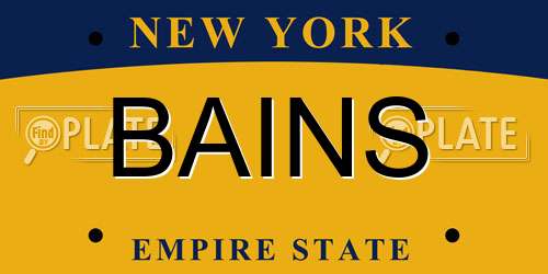 BAINS New York License Plate