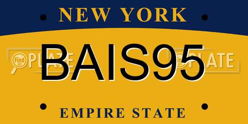 BAIS95 New York License Plate