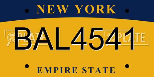 BAL4541 New York License Plate