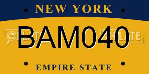 BAM040 New York License Plate