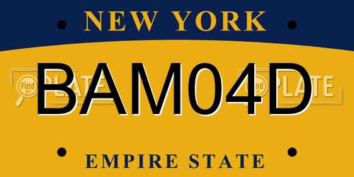 BAM04D New York License Plate