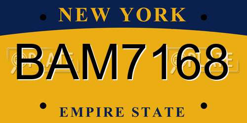 BAM7168 New York License Plate