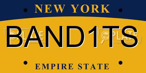 BAND1TS New York License Plate