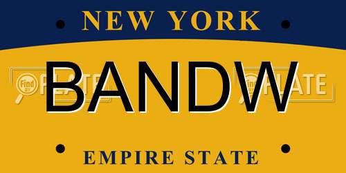 BANDW New York License Plate