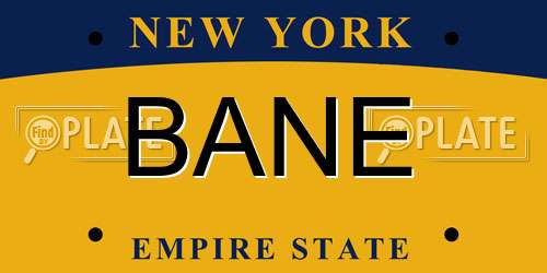 BANE New York License Plate