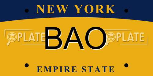 BAO New York License Plate