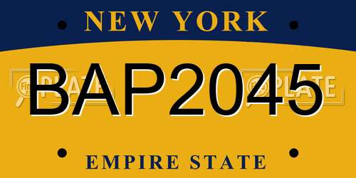 BAP2045 New York License Plate